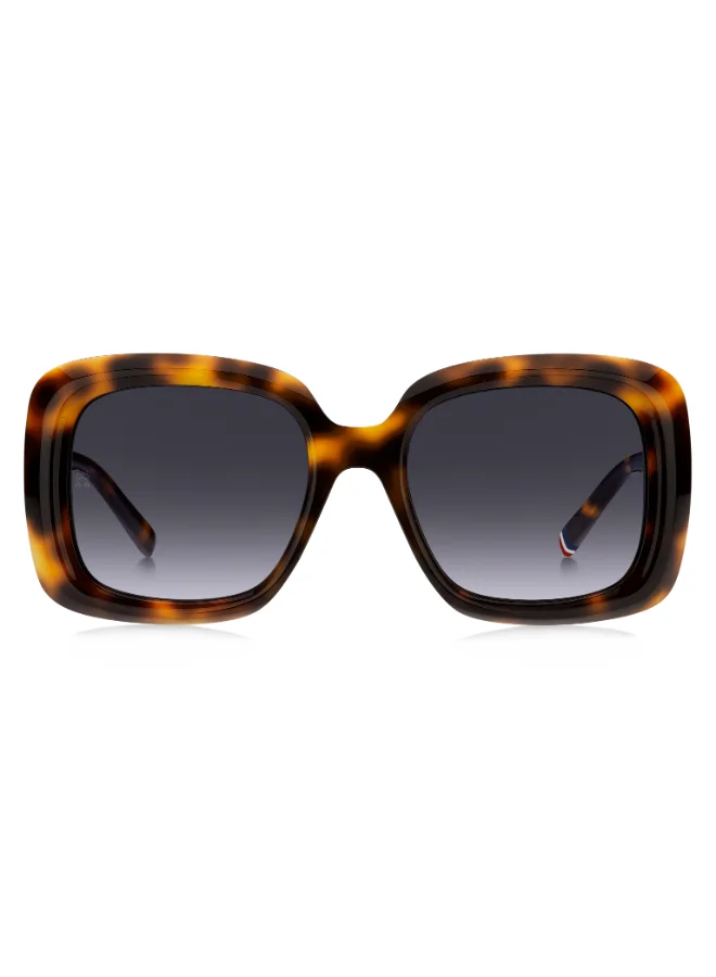 TOMMY HILFIGER  Square Tommy Hilfiger Sunglasses  | Best Price UAE